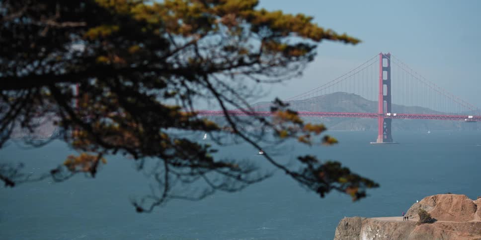 A view through the trees of a suspension bridge over water and a mountain in the distance
