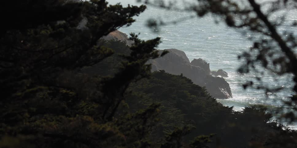 Mist covers forest and shore as waves crash against boulders