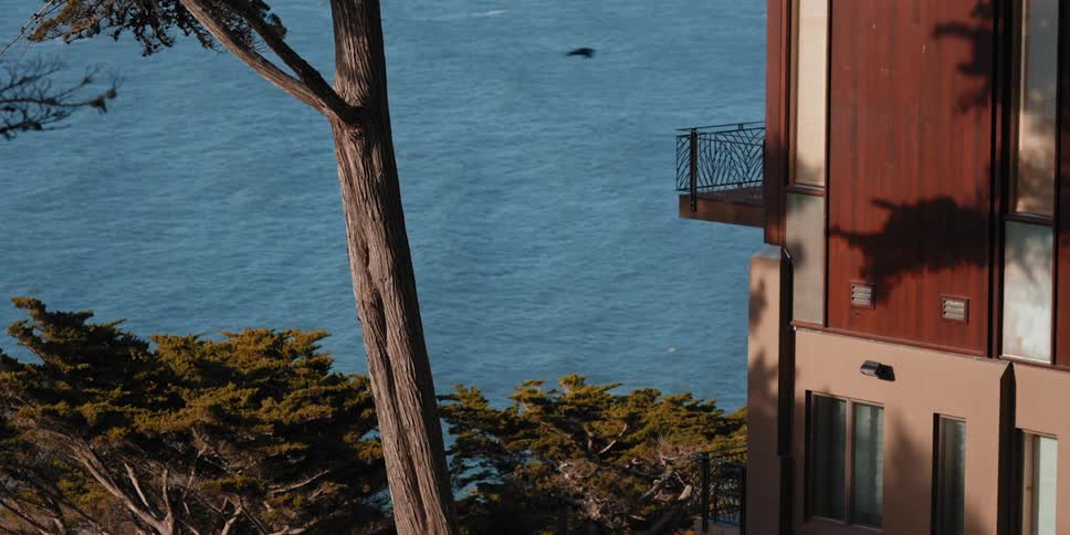 Bird flies past apartment building sitting on shore