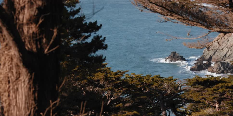 A view through trees of waves rolling into shore and splashing against rocks in the water