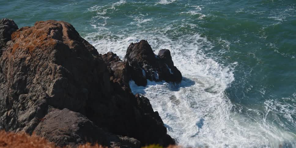 The bird flies over the rough shore