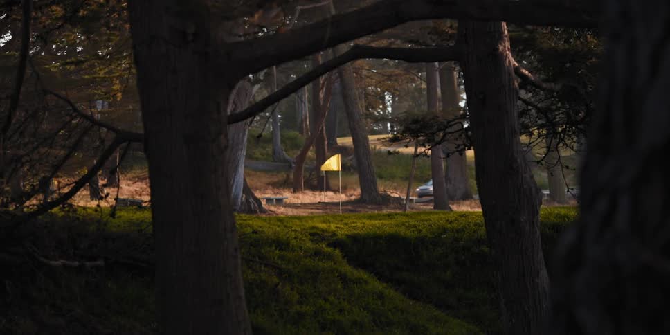A yellow flag waves in the breeze near trees in a park as a car drives by