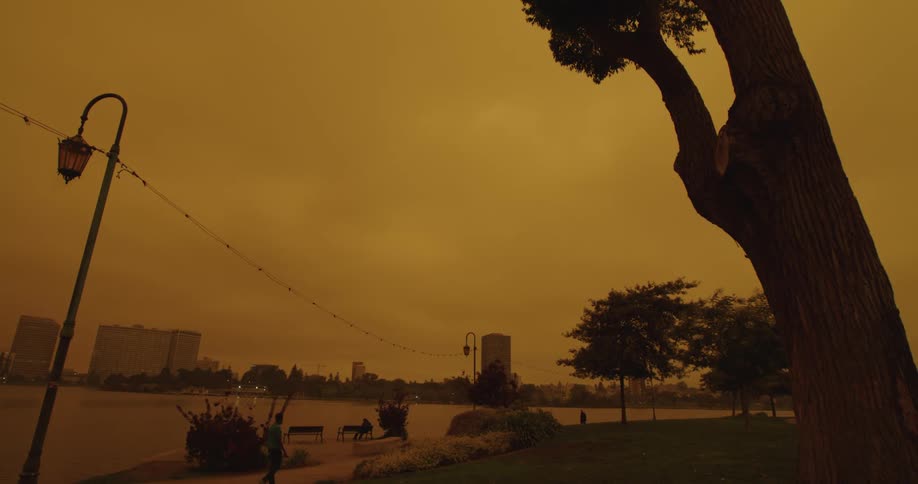 People are walking on a public sidewalk with tall city buildings in the distance under a yellow sky