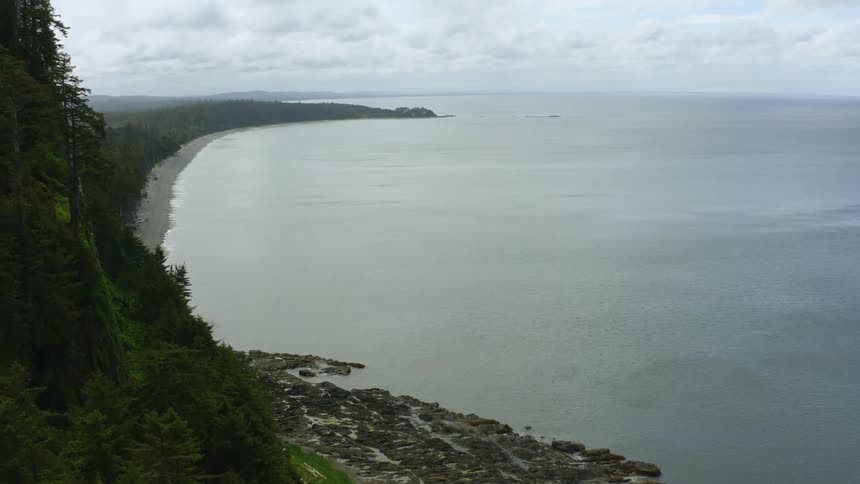 Big forest in front of an empty beach