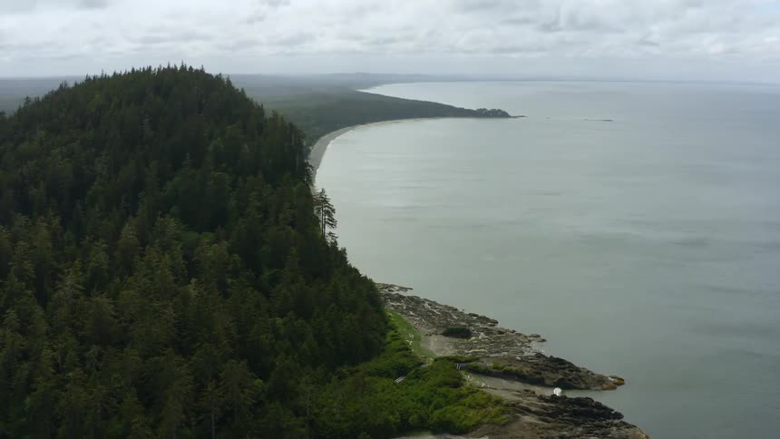 Forest covered mountain sits near shore on misty day