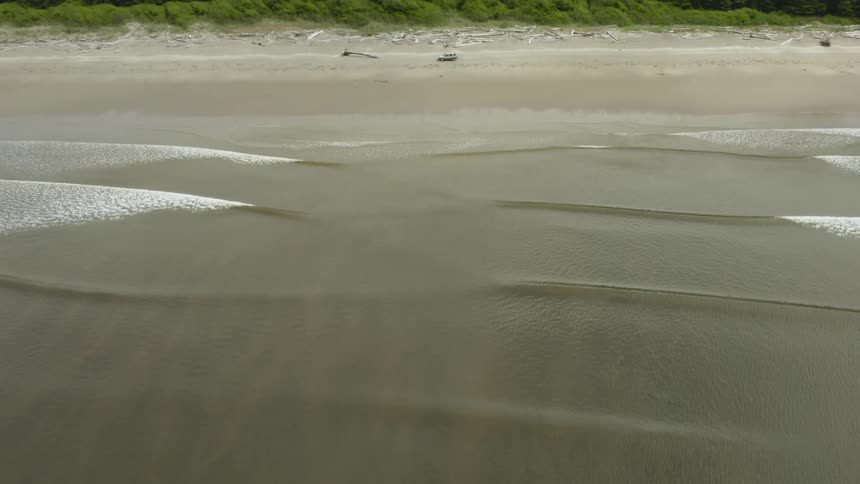 White vehicle drives along beach as waves slowly roll onto shore bordered by forest