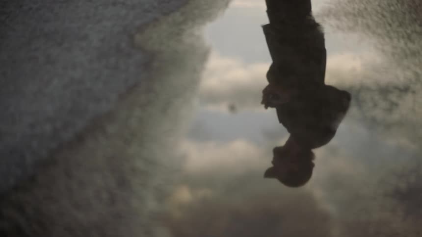 A reflection in a puddle shows a man taking photos while standing in a road