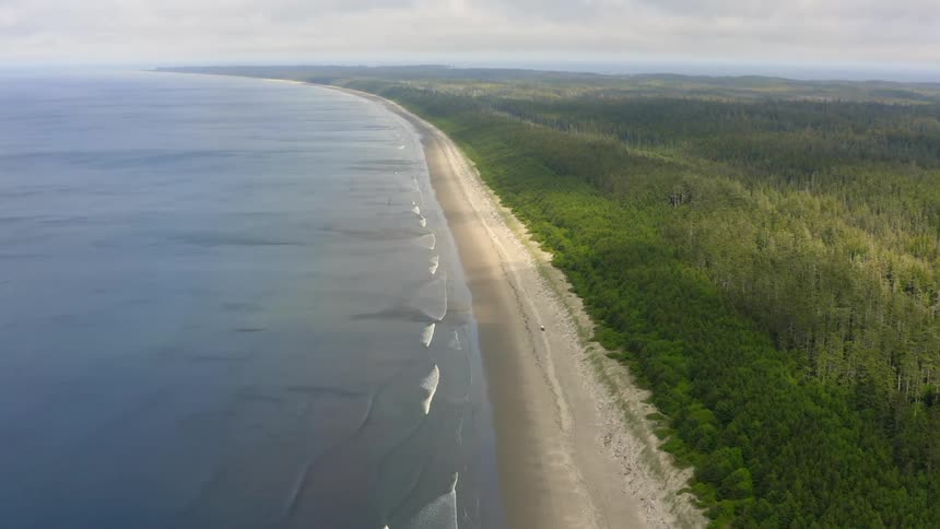 Waves flow toward beach bordered by forest reaching mist covered horizon