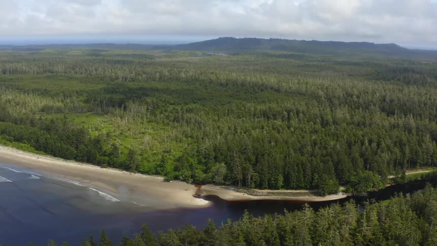 Conifer forest hills area between sandy beach andmist covered mountains on the horizon