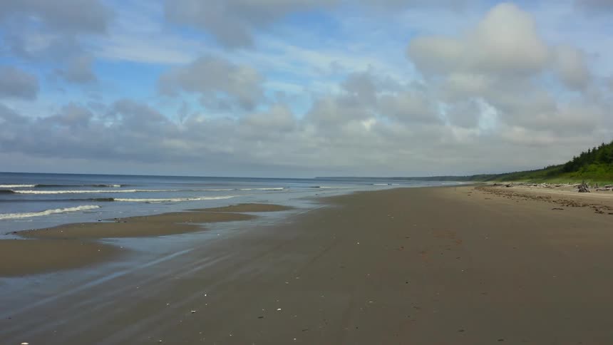 Waves crash onto beach bordered by forest covered slope under a cloudy sky