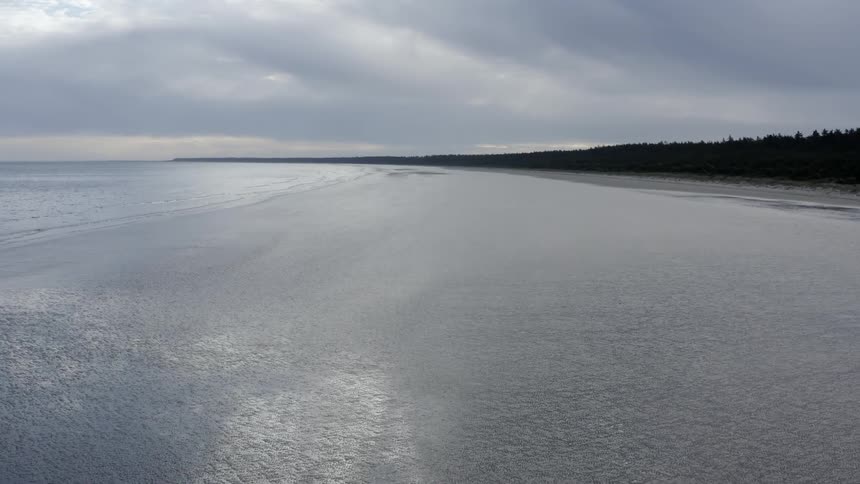 Waves crash onto beach bordering conifer forest under an overcast sky