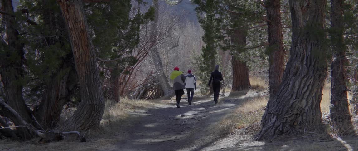 Three People Hiking Down a Forest Trail Together Enjoying the Simple Joy of Outdoors.