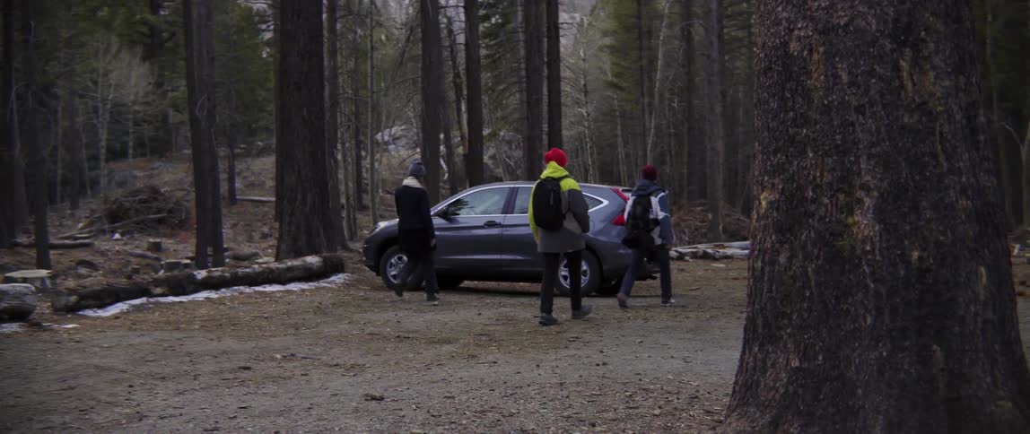 People Walking Together Toward Their Car Parked by a Quiet Forest on a Peaceful Day.