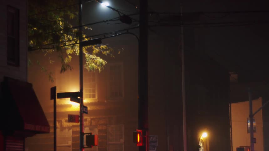 Red and blue police lights flash at a city intersection