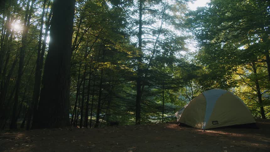 A small tent sits nestled between tall trees in a forest