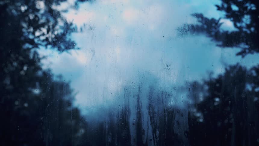 Condensation on window glass obscures woods standing under a cloudy sky