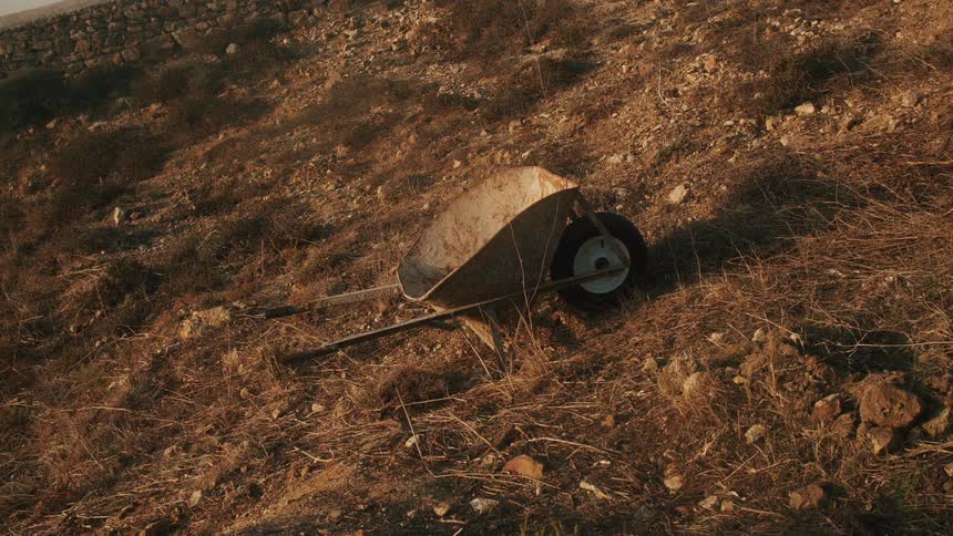 Small rusted wheelbarrow abandoned over the dry grass on the countryside at evening
