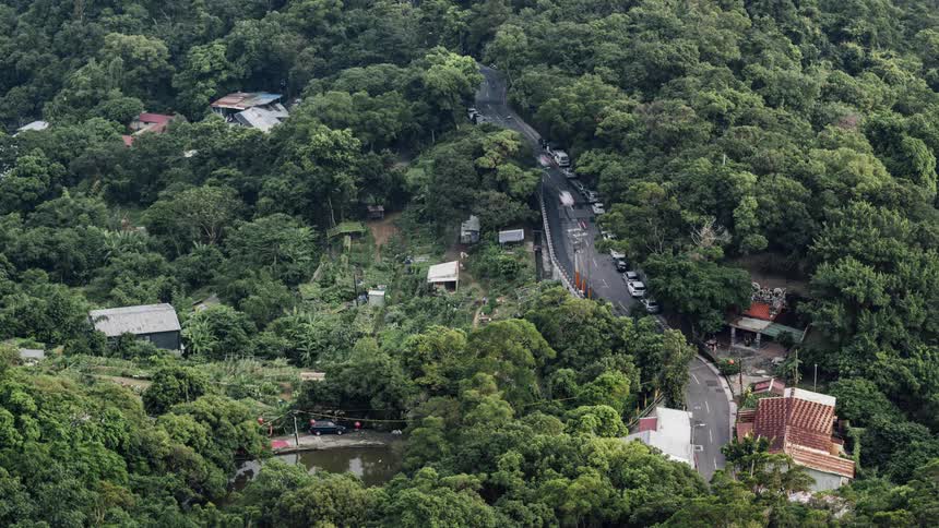 A time lapse of cars driving on a road in a forested area