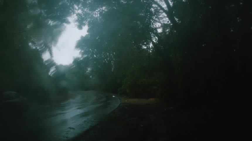 Car drives along curve on wet road passing trees and a driveway