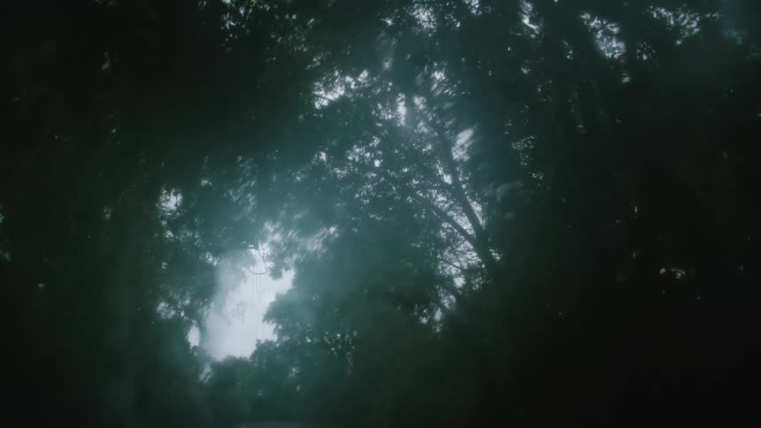 Rain drops falling and dripping on glass causing trees to blur and distort