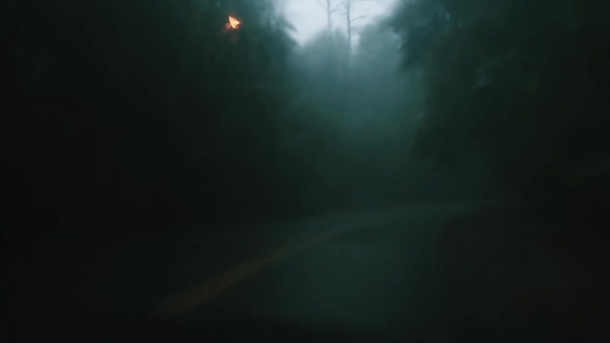 Windshield wipers swipe across as we move forward on a tree lined rural road
