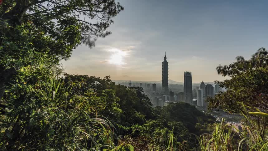 Wind separates trees on a hill to reveal more of a city in the distance