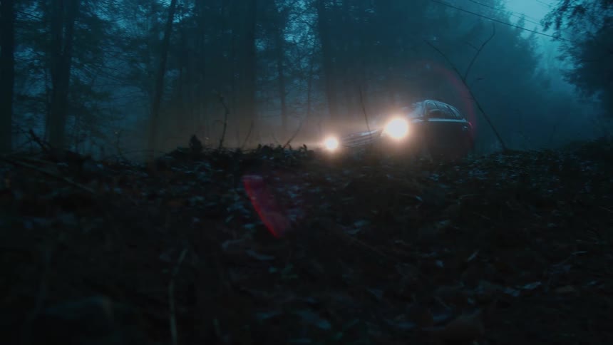 A car is driving through a wooded area at night