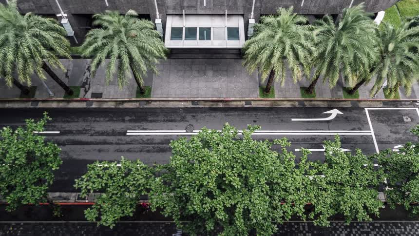 Aerial view of traffic on a road and the trees moving in the wind