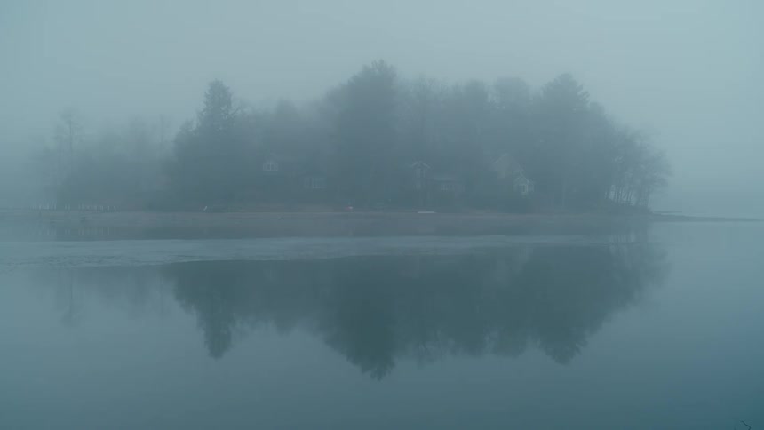 Trees reflected on a calm lake on a foggy day in nature