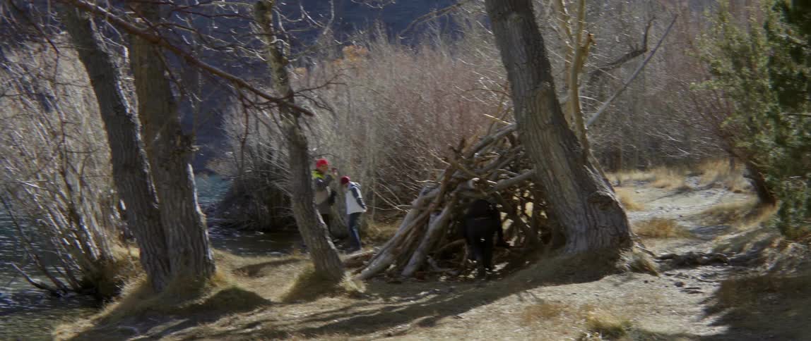 Three people mill about a structure made out of fallen tree limbs in a natural setting