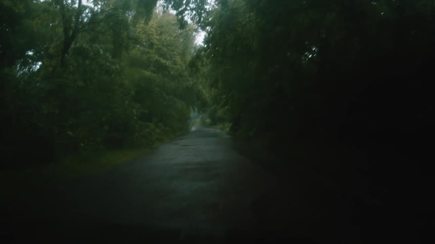 Vehicle driving on a wet rural road under the trees on a dark rainy day