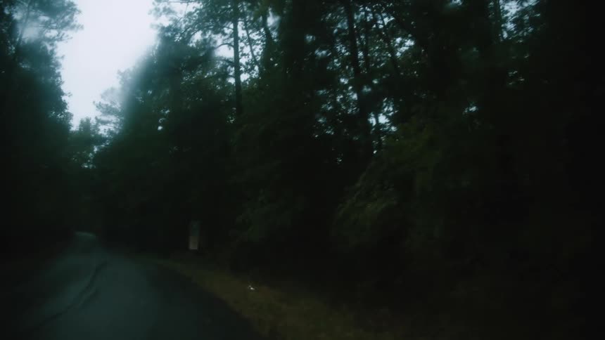 Vehicle driving on a wet rural road under the trees on a dark rainy day