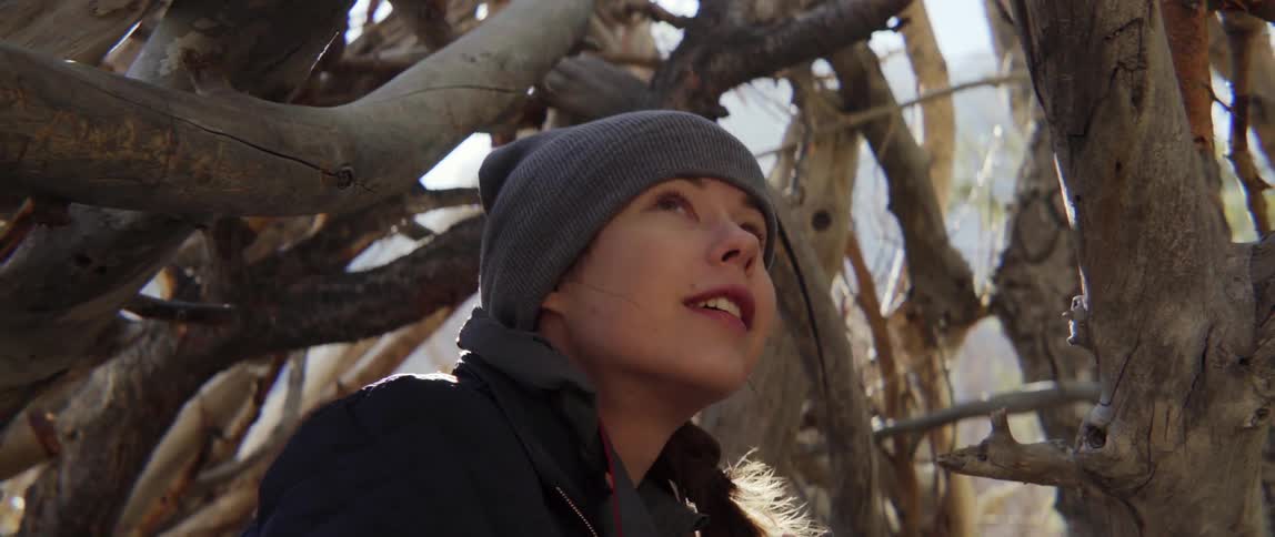 Girl standing under tree branches looking up with curious reflective nature mood.