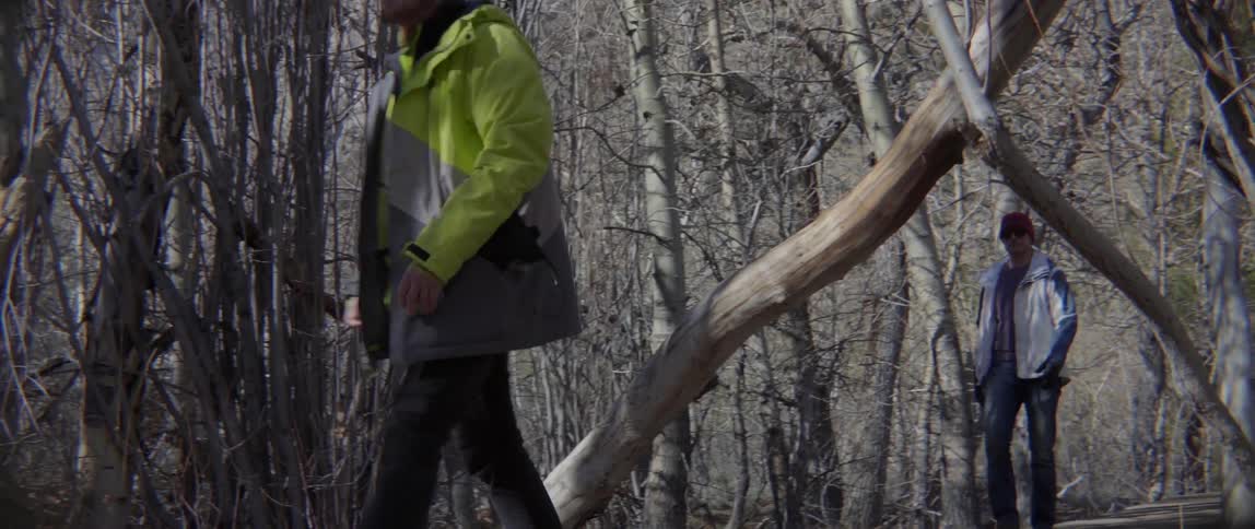 People Hiking Together Climbing Over a Fallen Tree With Laughter and Team Spirit.