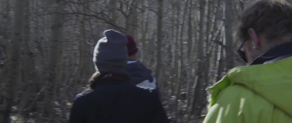 Group of People Hiking Through the Woods Together Sharing Laughter and Adventure in Nature.