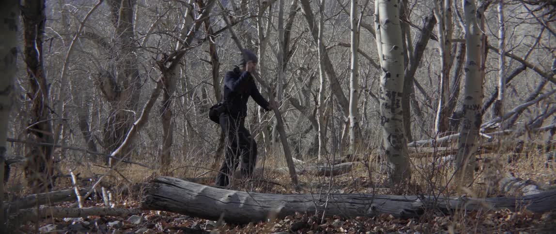 Woman testing large stick for sturdiness in forest with curious adventurous vibe.