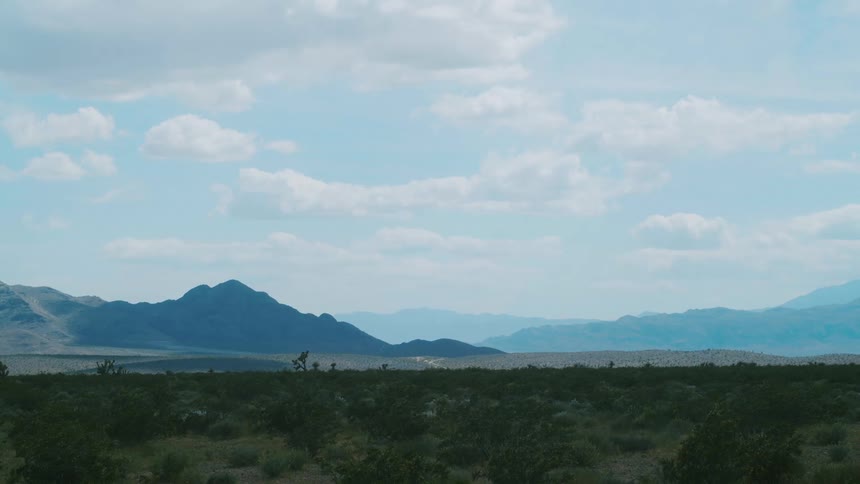 Bushes grow in a field near a mountain range