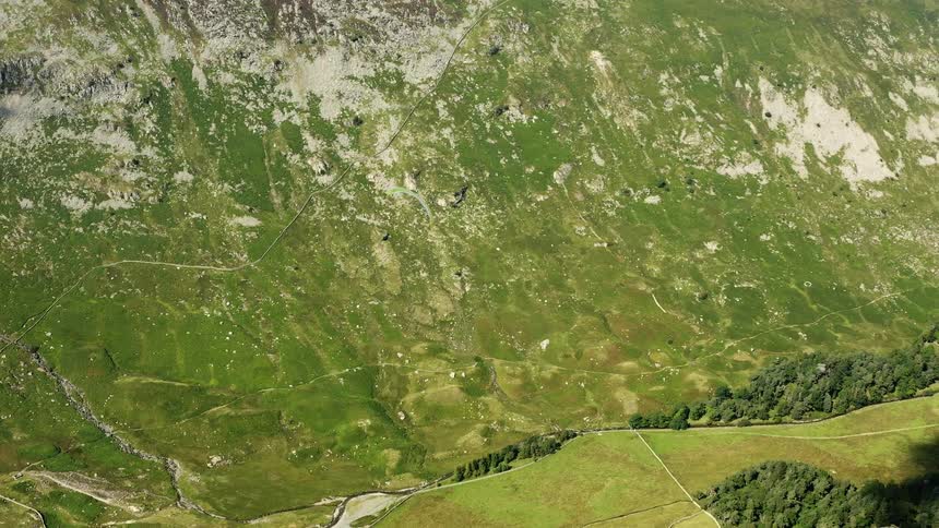 Paraglider flys down a mountain with trees and a field below
