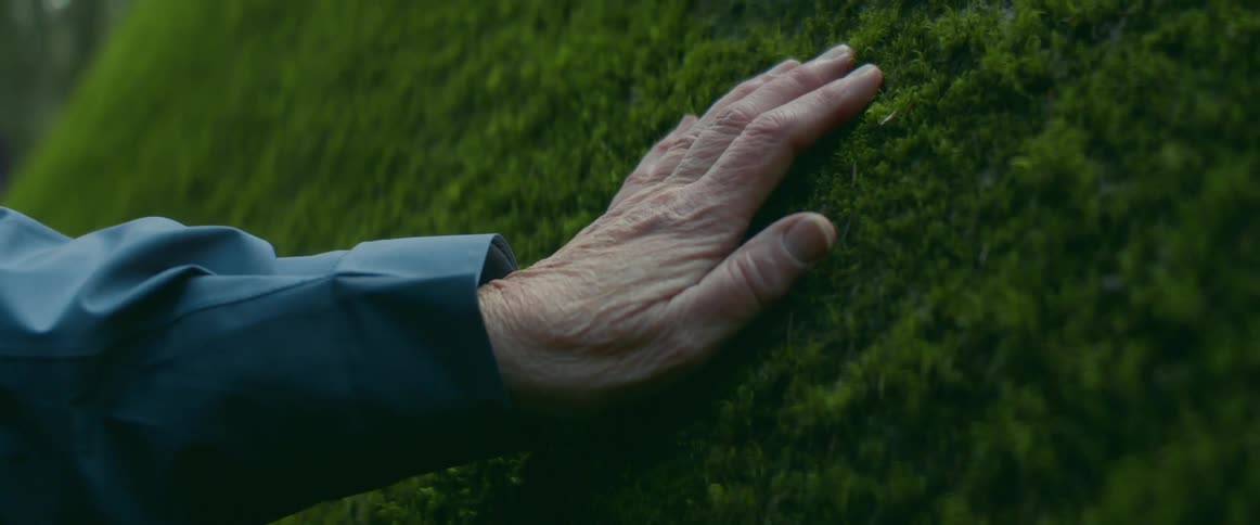 A person is leaning on the grass