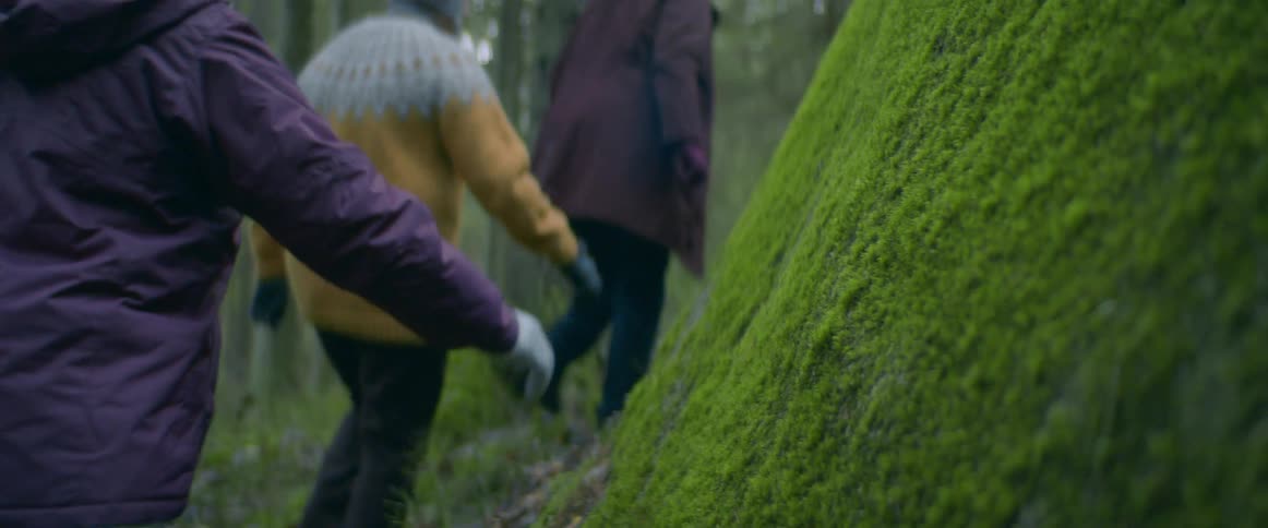 Senior citizens are walking past a tree covered with moss in a forest and one woman puts her hand on the moss