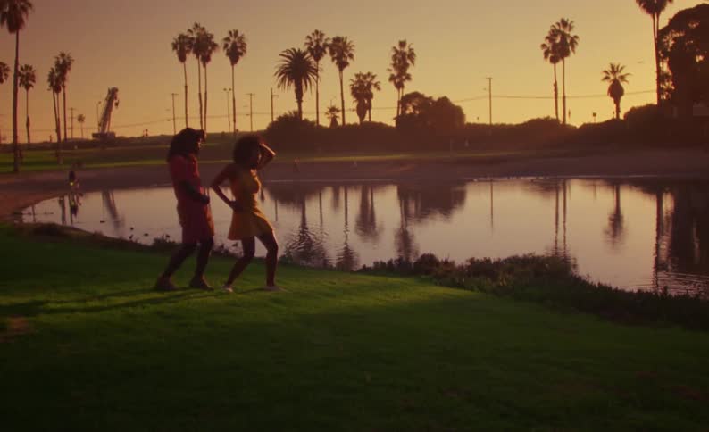 Couple dancing in front of a lake in a park next to palm trees at sunset caught on vintage film