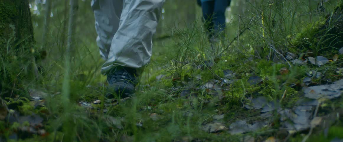 People walk through forest sitting on slope