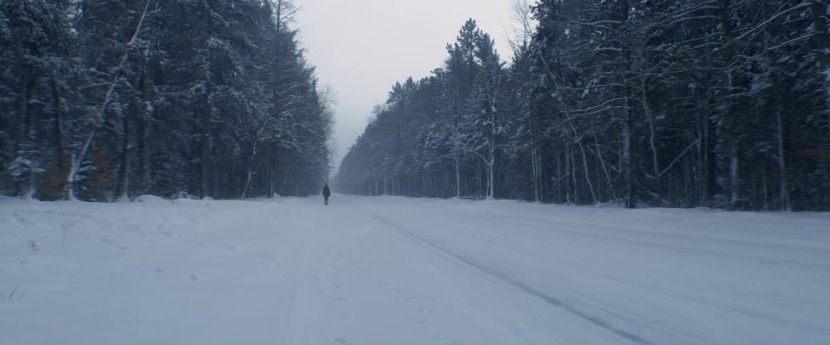 Person walks over snow covered ground in gap between conifer trees