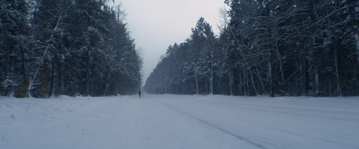 A person is walking on a snow covered road surrounded by trees