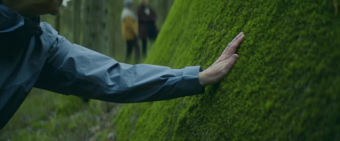 Woman touches vegetation covered sloping ground while standing in forest