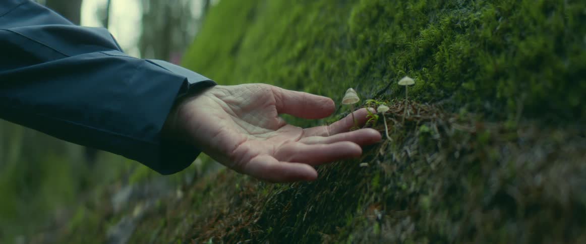A person touches a mushroom outside