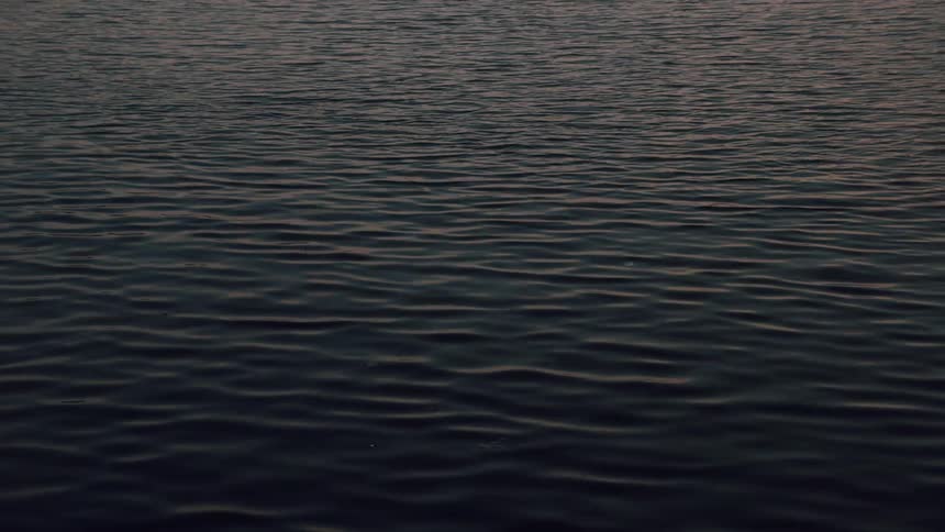 Sunlight reflects on the water as it ripples and waves