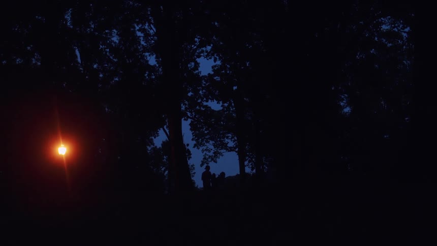 Silhouette of a couple talking and kissing in the forest at night