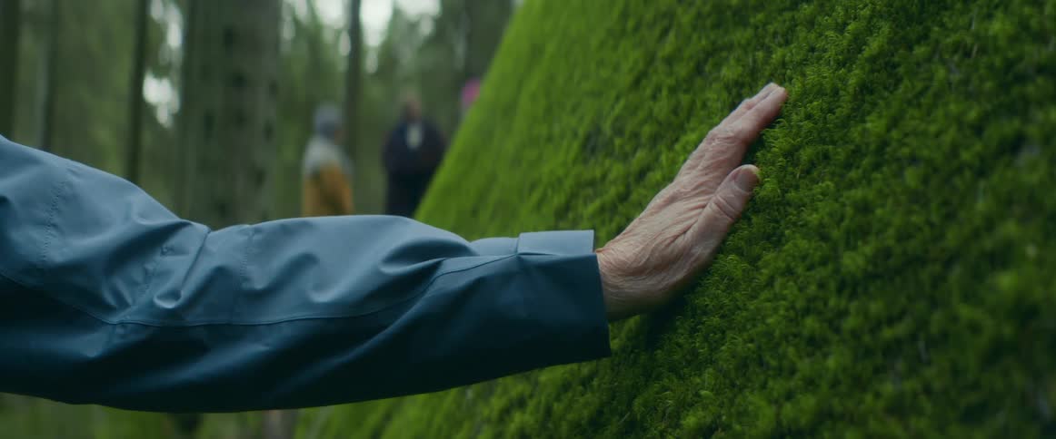 Elderly woman extends her arm to touch the moss over the surface of a big rock in the forest
