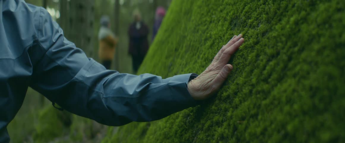 A person is touching a hill covered in grass